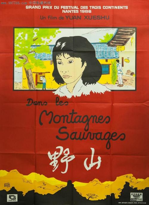 愛知みずほ大学Accounting Diploma